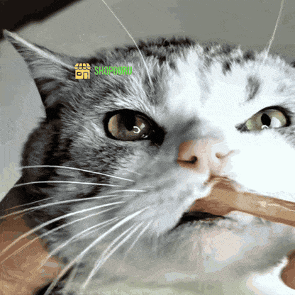 Periuță de dinti pentru animale de companie