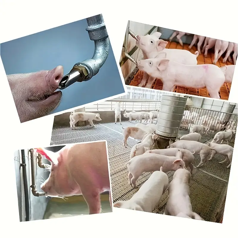 Pigex™ - Set 4 Niplu Automat pentru Adăpare Porci și Animale Domestice