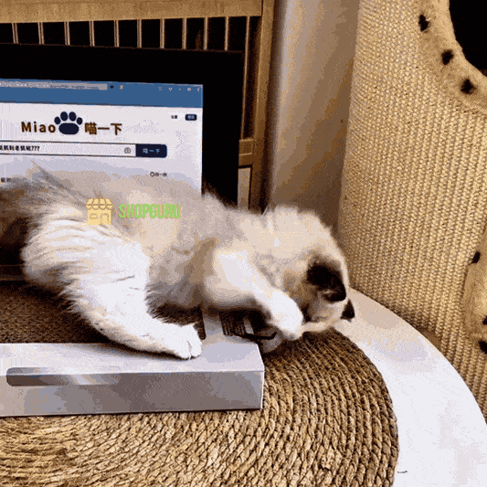 KittyTech™ Jucarie Laptop pentru Pisici