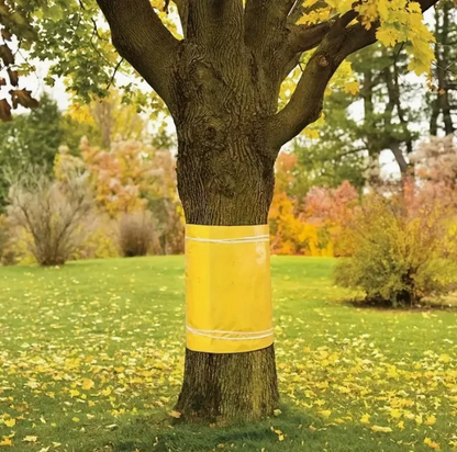 TreeGuard™ – Banda Adeziva Impotriva Insectelor si Tantarilor